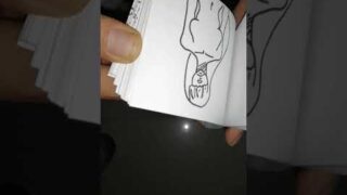 Flipbook hentai